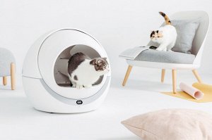 Автоматический кошачий туалет Petree