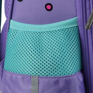 Рюкзак каркасный Hatber Ergonomic Classic 37 х 29 х 17, для девочки "Фиолетовый шик", сиреневый