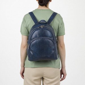 Рюкзак школьный, отдел на молнии, наружный карман, эргономичная спинка, цвет синий