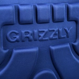 Ранец Стандарт Grizzly RA-971, 37 х 34 х 18 см