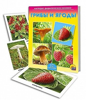 Наглядно - дидактическое пособие "Грибы и ягоды"