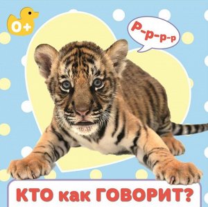 КТО КАК ГОВОРИТ? ЦК 145х145