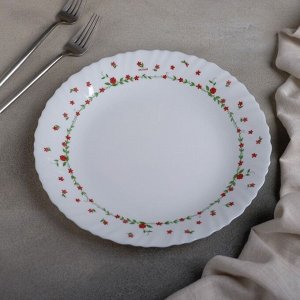 Тарелка обеденная Fraisa rouge, d=25 см