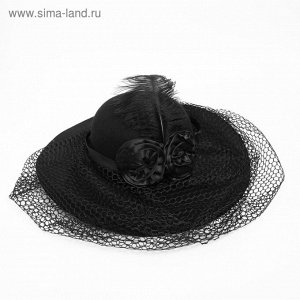 Шляпа карнавальная Вуаль цвет черный