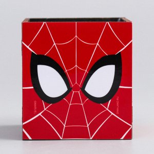 Органайзер для канцелярии Spider-man, Человек-паук, 65 х 70 х 65 мм