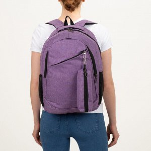 Рюкзак школьный, 2 отдела на молниях, наружный карман, 2 боковых кармана, дышащая спинка, с футляром, цвет фиолетовый