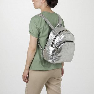 Рюкзак школьный, отдел на молнии, наружный карман, эргономичная спинка, цвет серебро