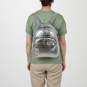 Рюкзак школьный, отдел на молнии, наружный карман, эргономичная спинка, цвет серебро
