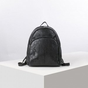 Рюкзак школьный, отдел на молнии, наружный карман, эргономичная спинка, цвет чёрный