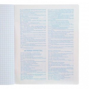 Тетрадь предметная «Пачки чипсов», 48 листов в клетку «История», обложка мелованный картон, УФ-лак