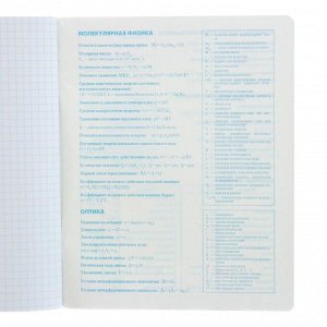 Тетрадь предметная «Пачки чипсов», 48 листов в клетку «Физика», обложка мелованный картон, УФ-лак