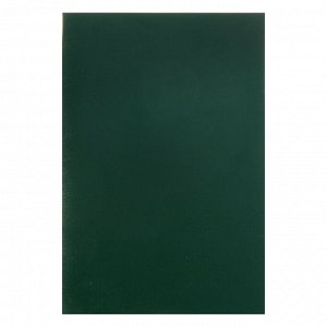 Тетрадь А4, 96 листов в клетку, «Зелёная», обложка бумвинил