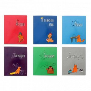 Комплект предметных тетрадей «Жизнь кота», 48 листов, 12 предметов, обложка мелованный картон, УФ-лак
