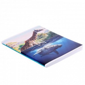 Тетрадь 96 листов в клетку «Стиль. Play Nature», обложка мелованный картон, ВД-лак, блок офсет, МИКС