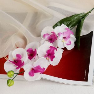 Цветы искусственные "Пышная орхидея" пурпурно-белая
