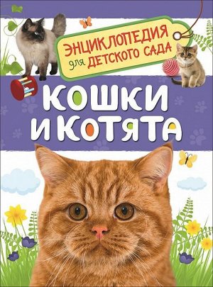 Кошки и котята. Энциклопедия для детского сада 33889