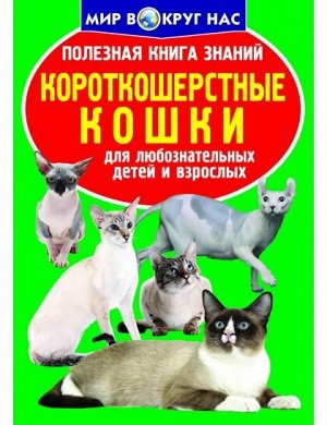Полезная книга знаний. Короткошерстные кошки