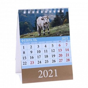 Календарь настольный, домик "Символ года. Вид 1" 2021 год, 10х14 см