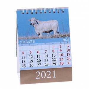 Календарь настольный, домик "Символ года. Вид 2" 2021 год, 10х14 см