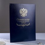 Канцелярские папки и системы архивации документов