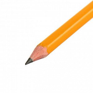 Карандаш чернографитный H, Calligrata, пластиковый, оранжевый