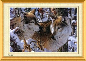 Набор для вышивания бисером 35x45см (частичное заполнение, канва с рисунком) Волчья пара Арт.526