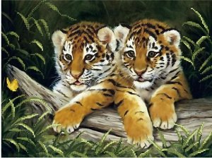Набор для вышивания бисером 35x45см (частичное заполнение, канва с рисунком) Два тигрёнка Арт. AS370