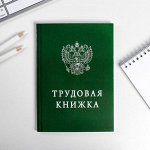 Ежедневник &quot;Трудовая книжка&quot;, А5, 80 листов