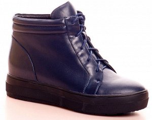 Ботинки Страна производитель: Китай
Полнота обуви: Тип «F» или «Fx»
Материал верха: Натуральная кожа
Цвет: Синий
Материал подкладки: Байка
Стиль: Городской
Форма мыска/носка: Закругленный
Каблук/Подош