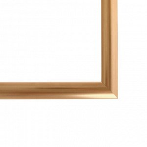 Рама для картин (зеркал) 30 х 40 х 2.7 см, пластиковая, Calligrata, золото