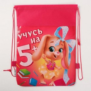 Сумка для обуви "Учусь на 5+" 41*30*0,5см