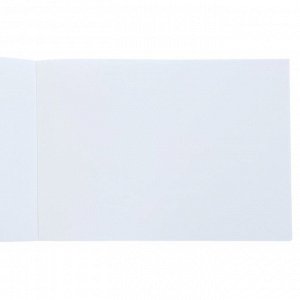 Альбом для рисования А4, 40 листов на клею "Профессиональная серия", обложка картон, блок 150 г/м2, МИКС