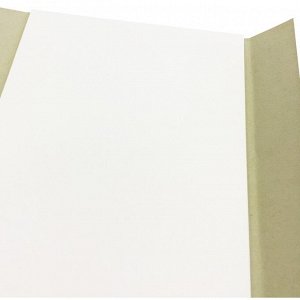 Бумага для Черчения А3 297х420 Kroyter 10 листов, плотностью 200 г/м? блока, картонная обложка, тиснение фольгой