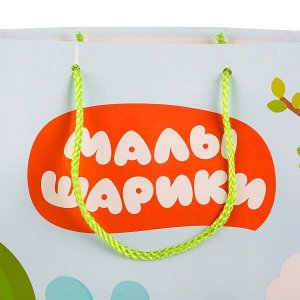 CLRBG-MLSH-03-1 Играем Вместе. Малышарики. Пакет подарочный 33х46х20см, глянцевый в пак. уп-12шт в кор.6уп