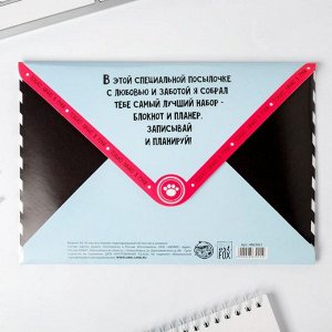 Подарочный конверт: блокнот А5, 32 листа и планинг 50 листов "Енот"