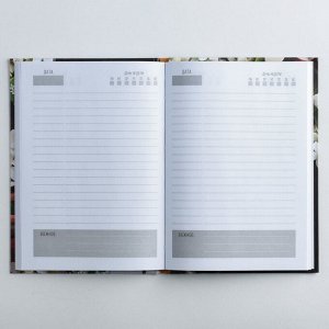 Подарочный набор ежедневник и планинг "Золотому учителю"