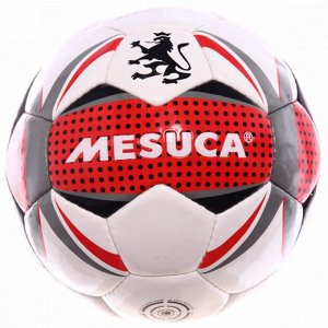 Мяч футбольный Mesuca Elite (размер 5)