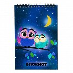 Блокнот А5, 40 листов на гребне Calligrata «Совушки», обложка мелованный картон