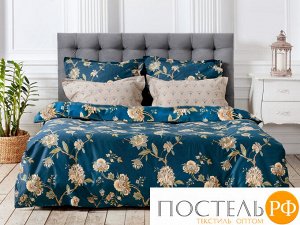 NICE Евро (200х220, 240х260) с нав. 50X70-2шт. 12303964 (Книжка ПВХ)