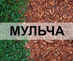 Кора сибирской лиственницы