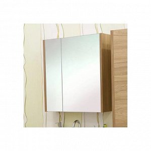 Зеркало-шкаф Ларго 70 (Вш) L