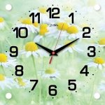 Часы настенные 21 Bek 2525-1237 Ромашки