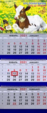 Квартальный календарь на 2021 год &quot;Символ Года №4&quot;
