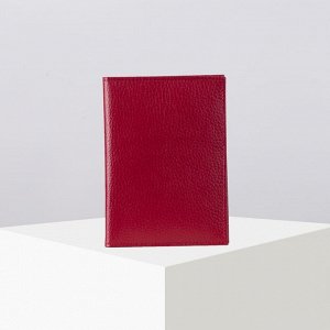 Обложка для паспорта Лана 10,5*0,5*14,5, красный