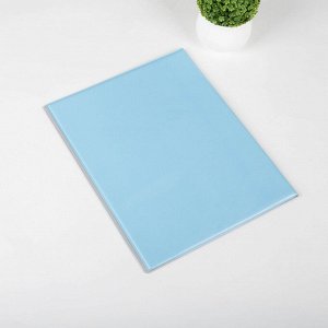 Папка для семейных документов, 1 комплект, цвет голубой