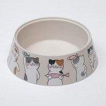 Миска &quot;Мур-мяу&quot; для кошек, 0.3 л, серая