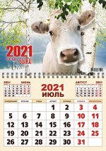 Одноблочный календарь Ф3 Белый бык с березой
