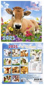 перелистные календари 20*20 Бычок с цветочками