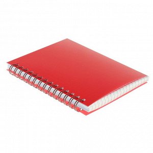 Записная книжка А6, 80 листов в клетку на гребне Calligrata, пластиковая обложка, блок 80 г/м², красная