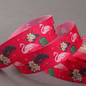 Лента репсовая «Фламинго», 25 мм, 18 ± 1 м, цвет малиновый